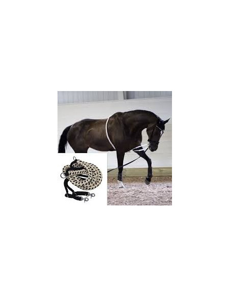 Treadworld Longeringshjälp