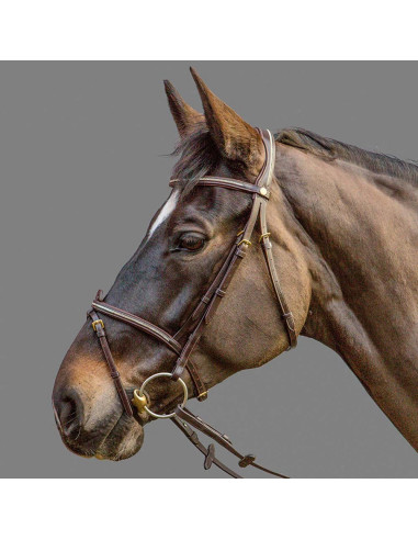 Mountain Horse träns Meteor