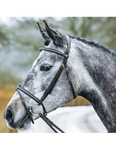 Mountain Horse träns Meteor