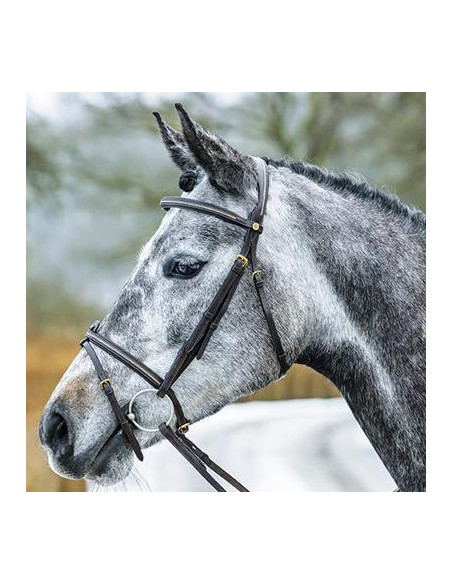 Mountain Horse träns Meteor