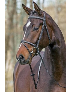 Mountain Horse träns Meteor