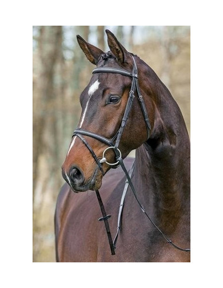 Mountain Horse träns Meteor