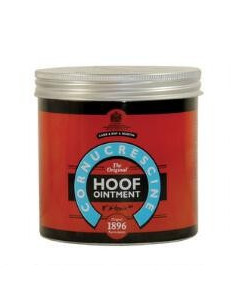 Carr & Day & Martin Cornucrescine Hovsalva 2