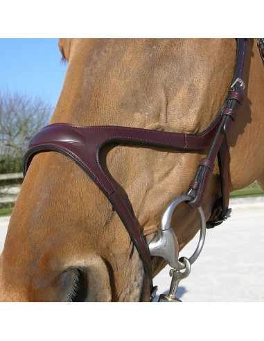 Dyón X-Fit anatomiskt träns