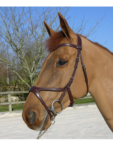 Dyón X-Fit anatomiskt träns