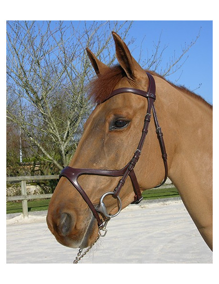 Dyón X-Fit anatomiskt träns