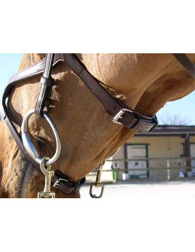 Dyón X-Fit anatomiskt träns