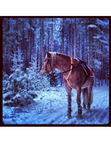 Horze reflexförbygel