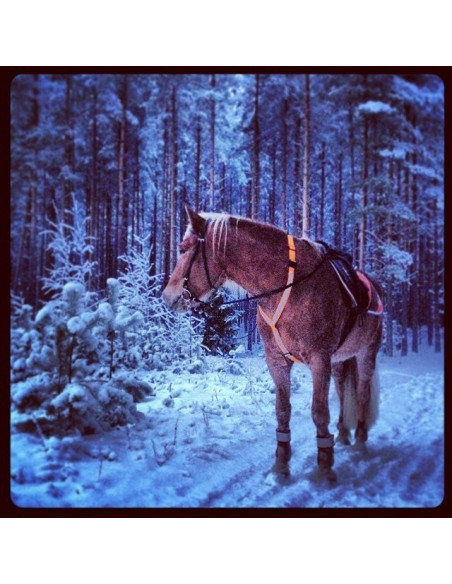 Horze reflexförbygel