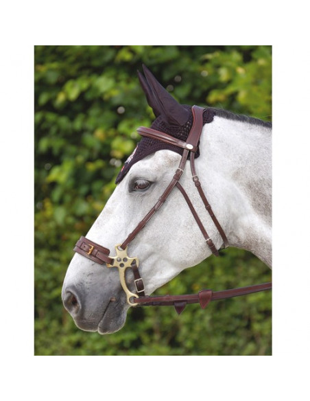 Dyon Träns för hackamore