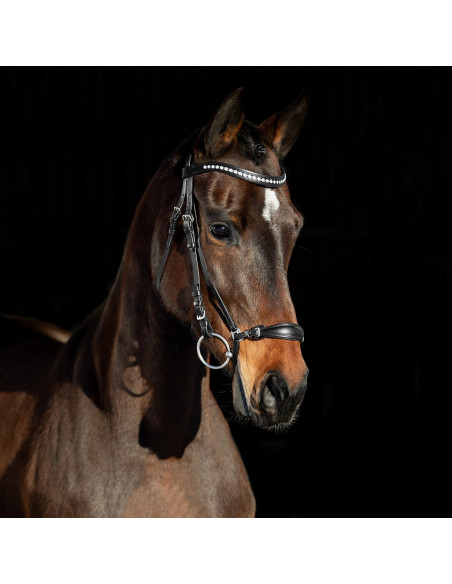 Horze Bergen Remontträns