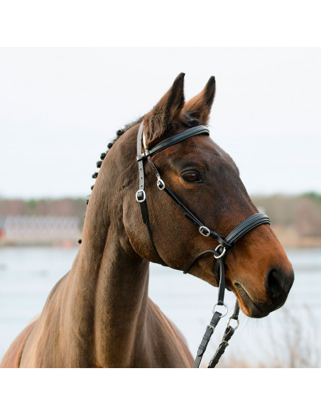 Globus bettlöst träns Winnetou