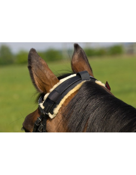 Christ Horsedream Träns-nackludd 32cm