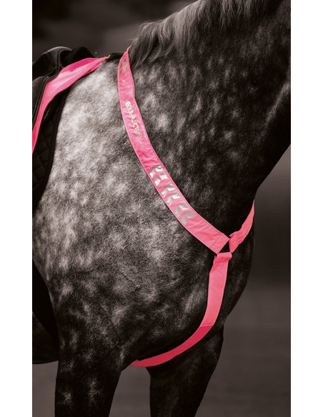 Shires Equi-Flector reflexbrösta