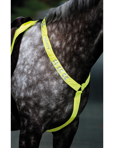 Shires Equi-Flector reflexbrösta