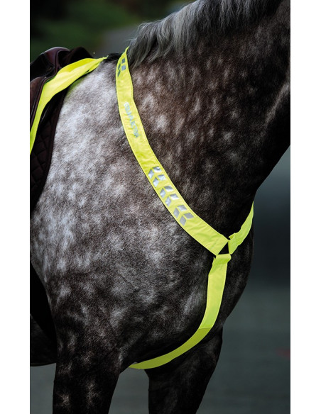 Shires Equi-Flector reflexbrösta