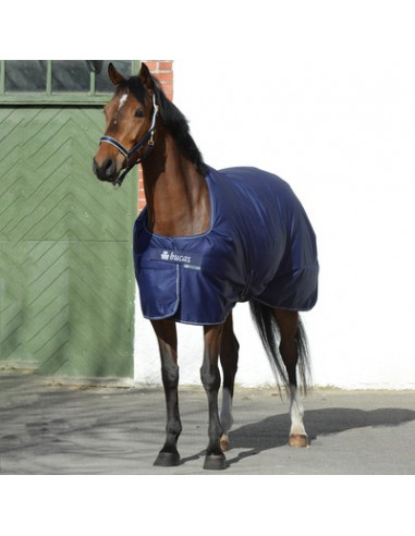 Bucas Irish Stable light