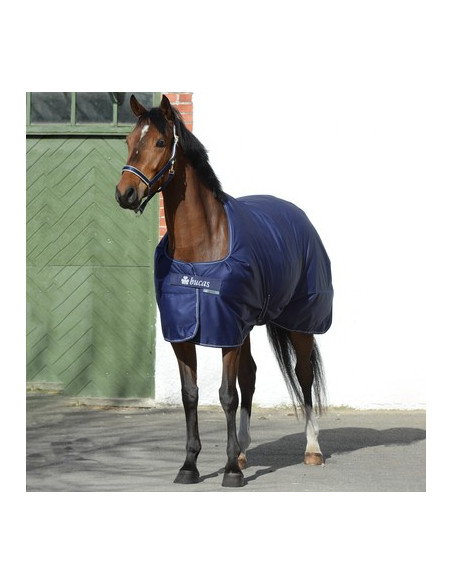 Bucas Irish Stable light