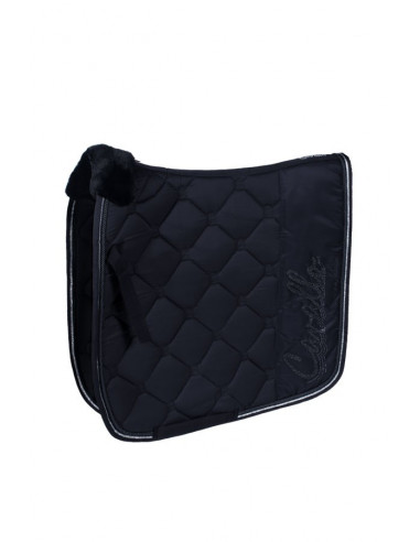 Cavallo Schabrak Holly