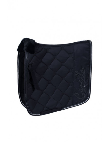 Cavallo Schabrak Holly