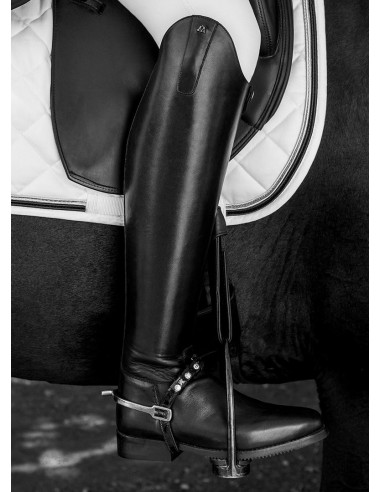 Mountain Horse Serenade