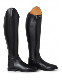 Mountain Horse Serenade 2