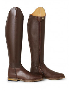 Mountain Horse Serenade