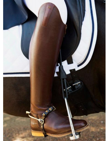 Mountain Horse Serenade