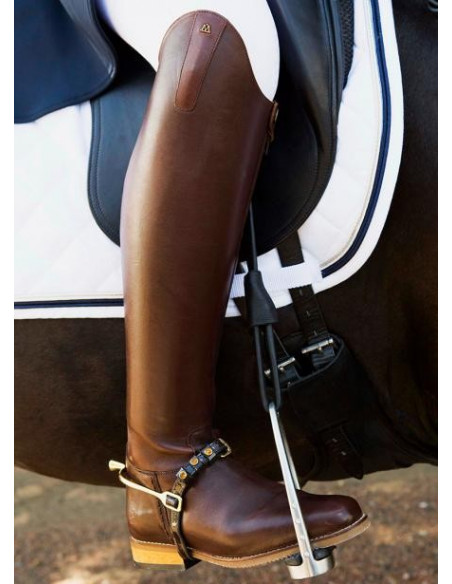 Mountain Horse Serenade