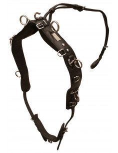 Träningsgjord Globus