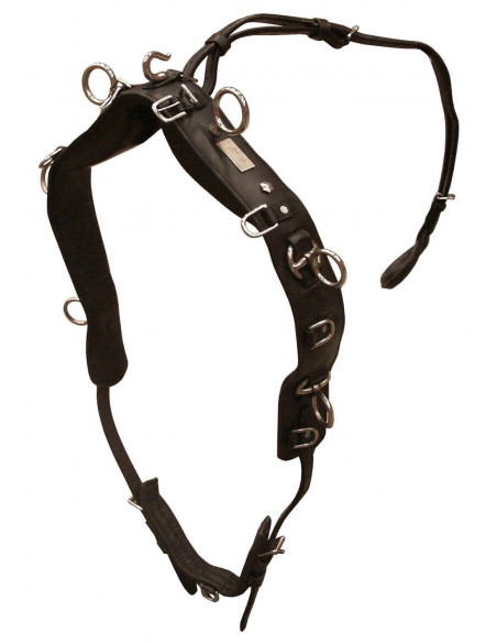 Träningsgjord Globus