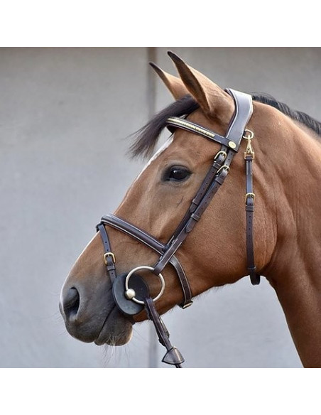 Dyón Träns Fancy Clincher Working collection