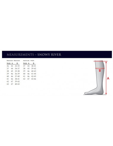 Mountain Horse Snowy River