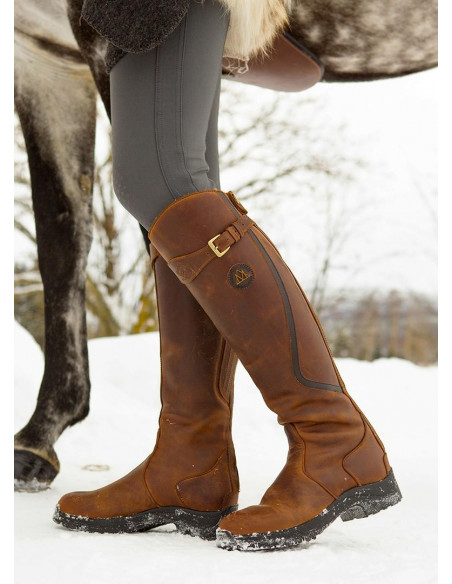 Mountain Horse Snowy River