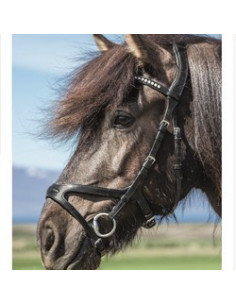 Dyón IC X-Fit träns ergonomisk nosgrimma