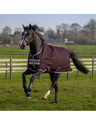 Amigo Hero Ripstop 50g