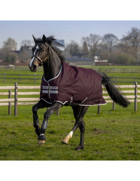 Amigo Hero Ripstop 50g