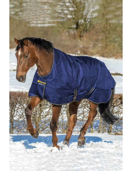 Bucas Irish Turnout Light