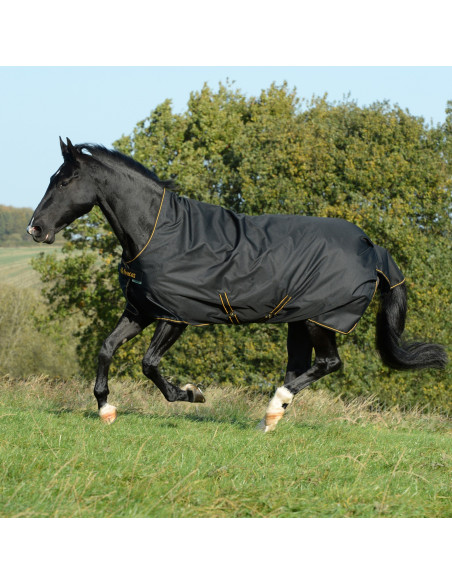 Bucas Irish Turnout Light