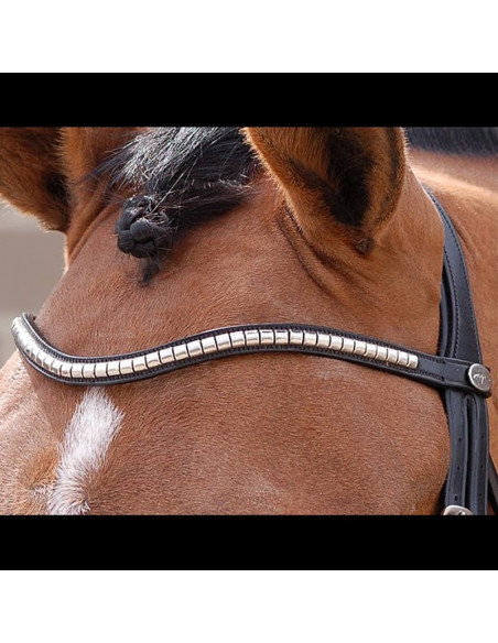 Dyón Klinkerpannband böjt Dressage collection