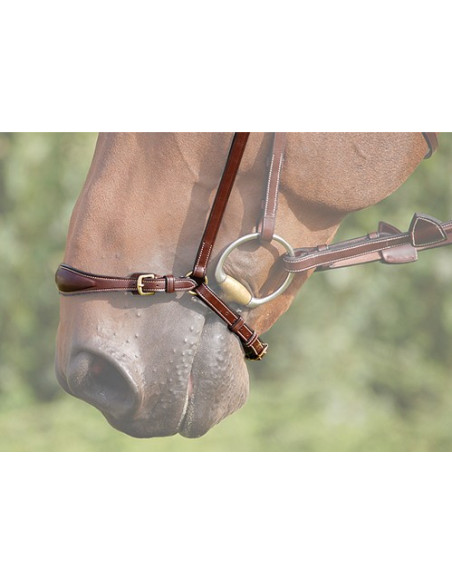 Dyón Remontnosgrimma utan nackrem Dyón collection