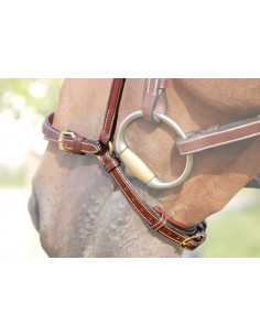 Dyón Remontnosgrimma utan nackrem Dyón collection 2