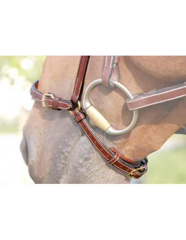 Dyón Remontnosgrimma utan nackrem Dyón collection