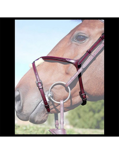 Dyón Mexicansk nosgrimma New English collection