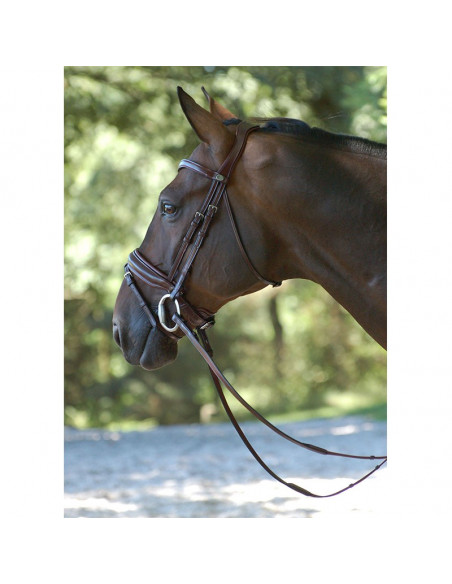 Dyón Träns medium pullback-nosgrimma Dressage collection