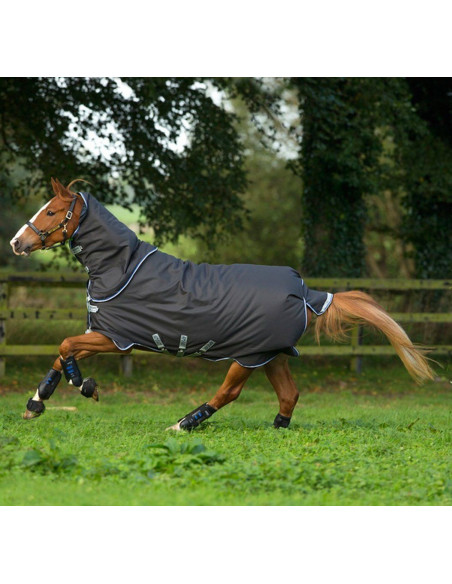 Amigo Bravo-12 Plus Turnout 250g