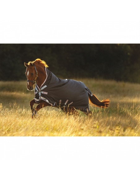 Amigo Bravo 12 Wug Lite