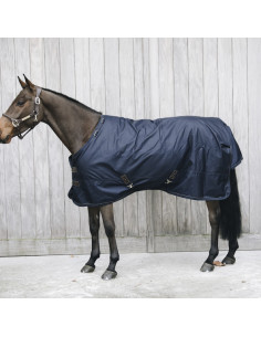 Kentucky Turnout Rug All Weather 300g 2