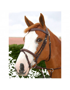 Working bridle, komb nosgr S/S