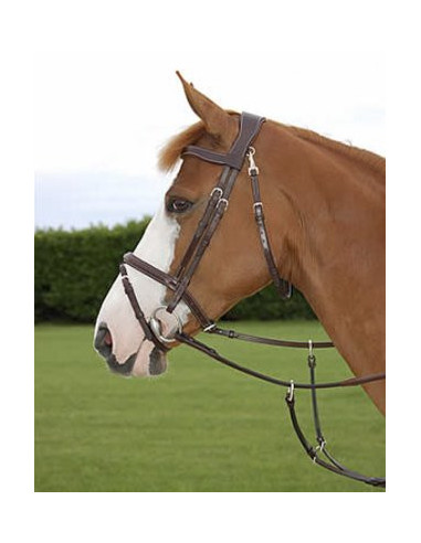 Working bridle, komb nosgr S/S